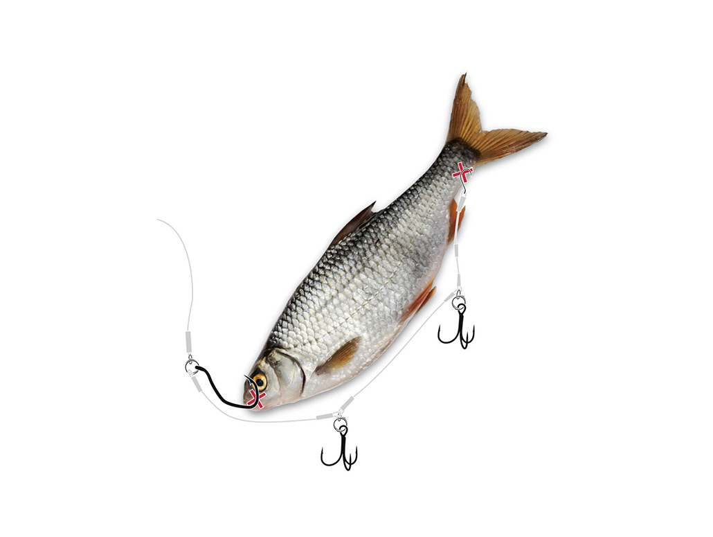 Mr. Pike Ghost Traces Bait Release Rig – Bild 3