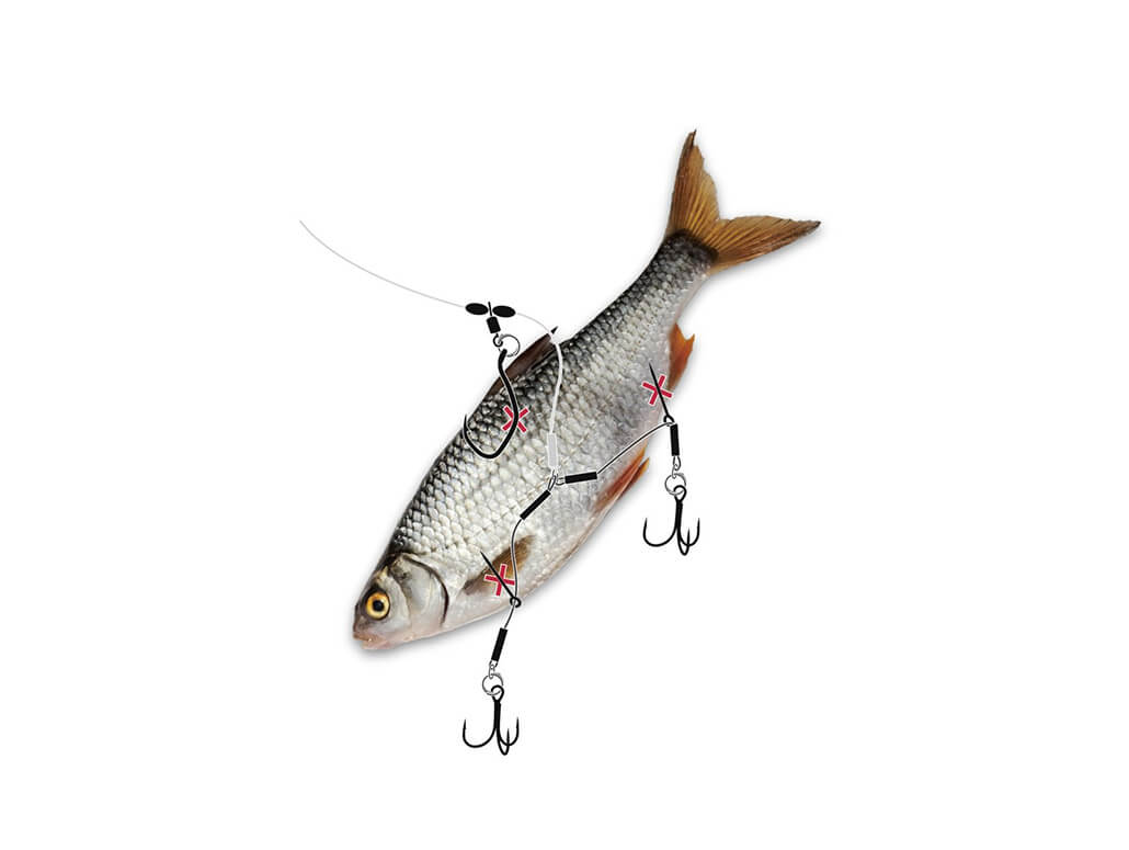 Mr. Pike Ghost Traces Twin Hook Release Rig – Bild 3
