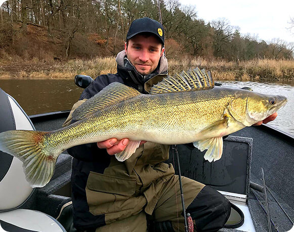 Fangbild Zander