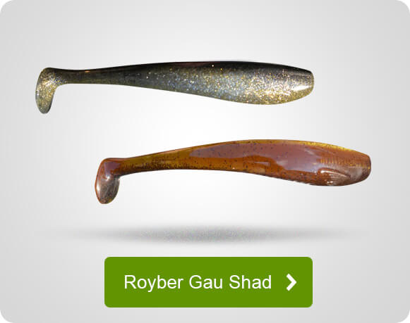 Royber Gau Shad