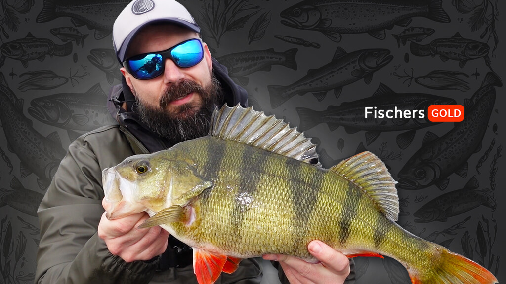 Fischers Gold