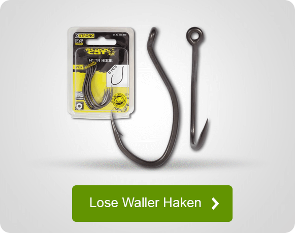 Lose Waller Haken