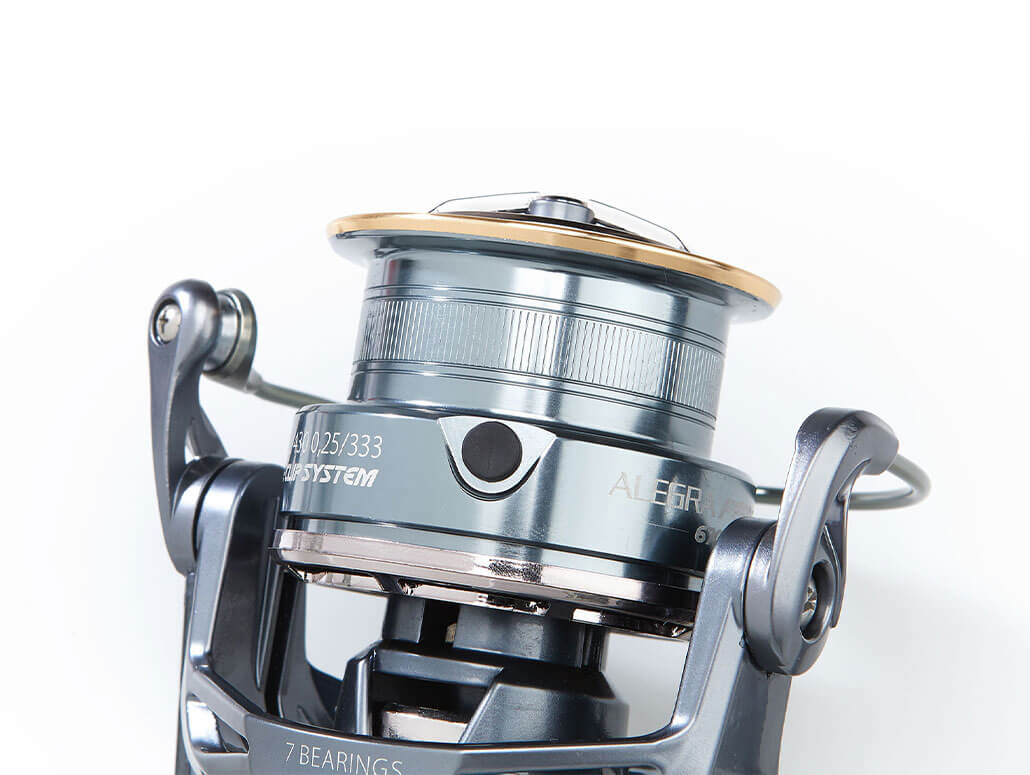 Balzer Alegra Feeder – Bild 2