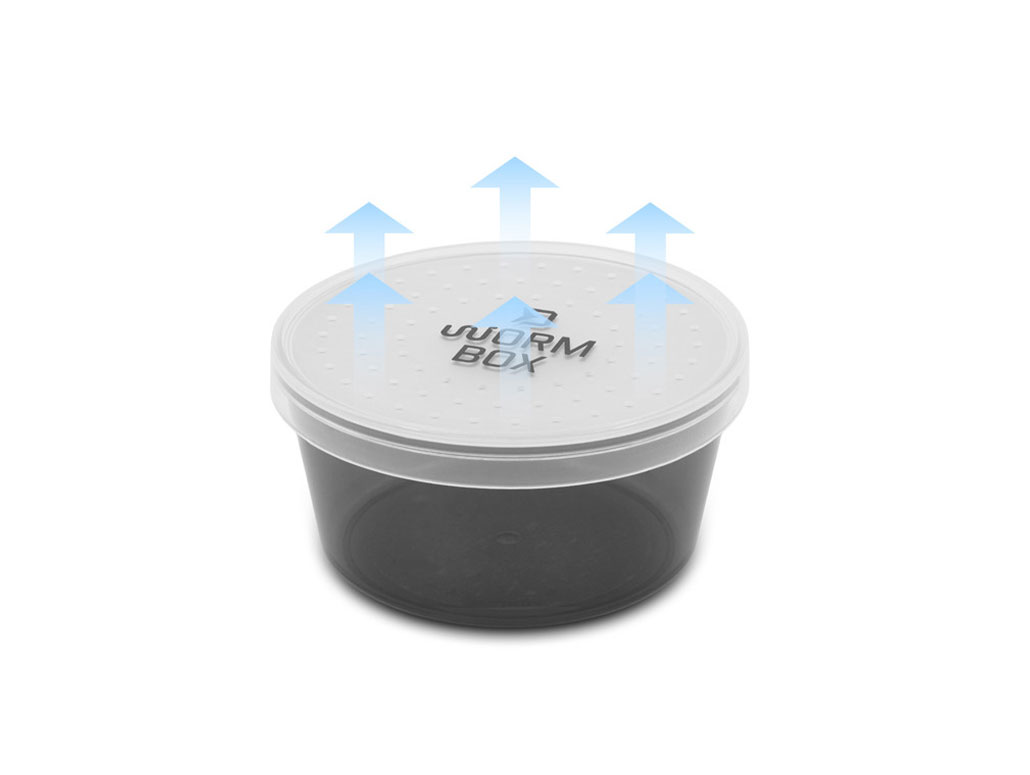 Delphin WormBox – Bild 2