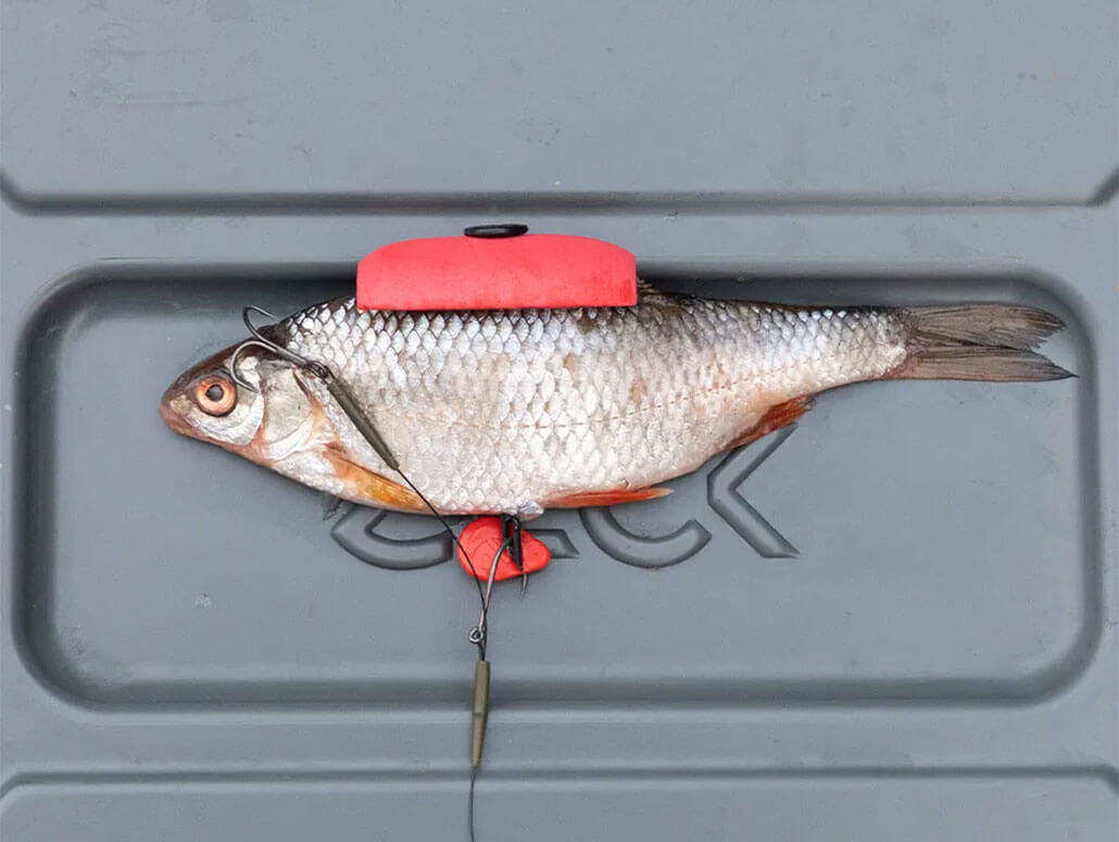 Zeck Single Hook & Treble Rig – Bild 4